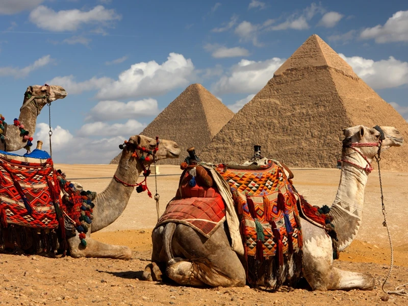 Egypt Day Tours