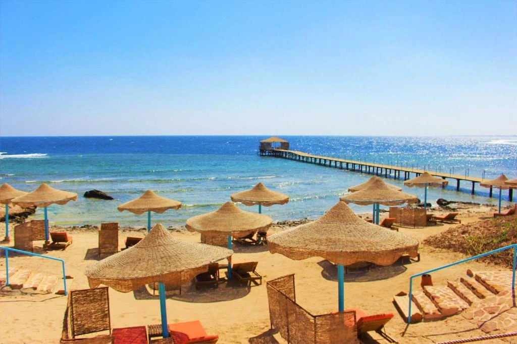 El Quseer Day Tours