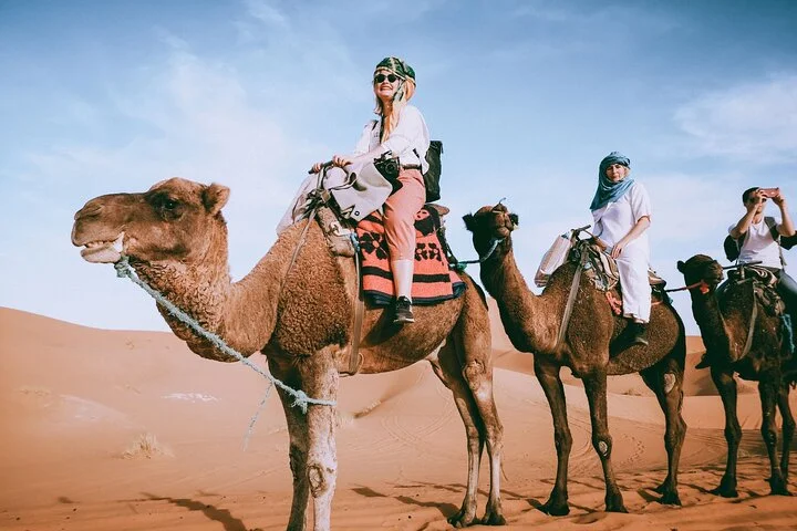 Private Camel Ride In Luxor West Bank