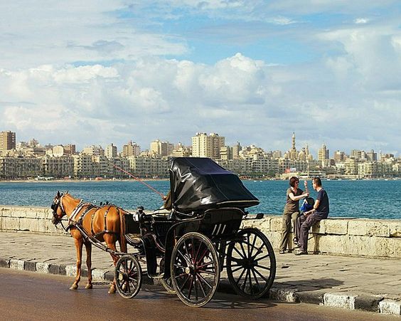 Horse-drawn carriage by the sea with two people chatting on the wall, city skyline in background.