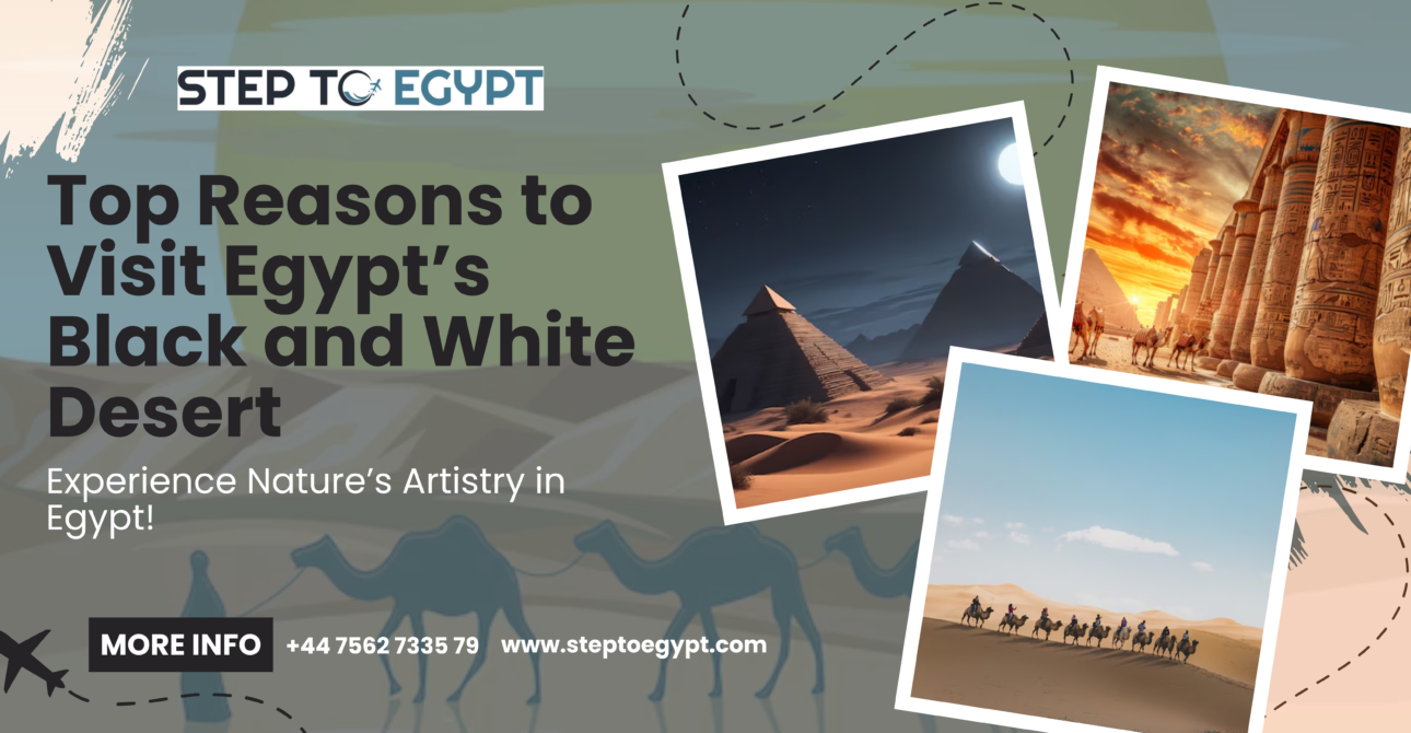 Top Reasons to Visit Egypt’s Black and White Desert: A Unique Tour Experience