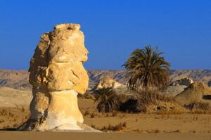 Farafra Oasis in Egypt