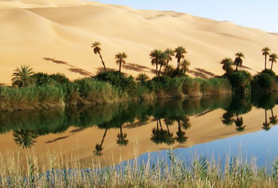 Bahariya Oasis