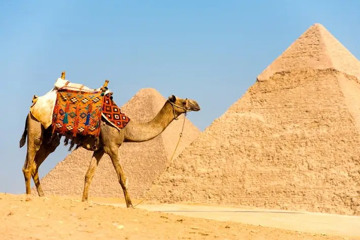 Egypt Classic Tours